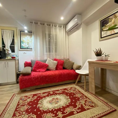 Central Welcoming In Apartament *